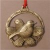 nesting Birds
